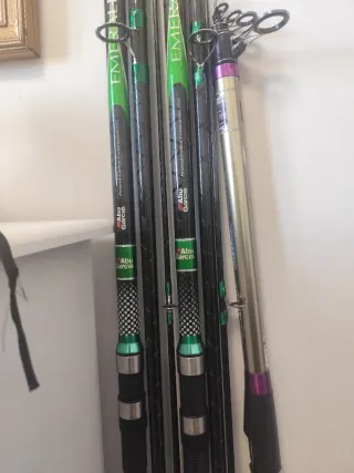 Lote cañas de pescar y carretes