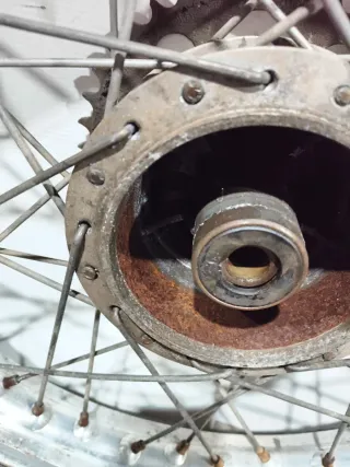 1. Rueda Trasera Cota 247