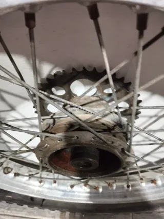 1. Rueda Trasera Cota 247