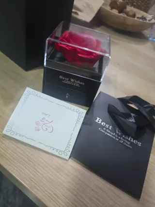 Rosa Eterna Roja + Gargantilla Best Wishes