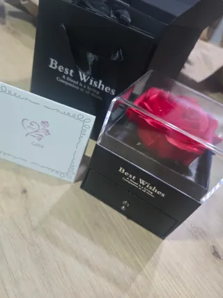 Rosa Eterna Roja + Gargantilla Best Wishes