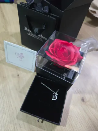 Rosa Eterna Roja + Gargantilla Best Wishes