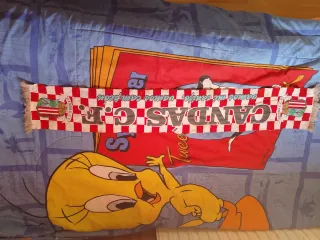 Bufanda CANDAS C.F. a cuadros