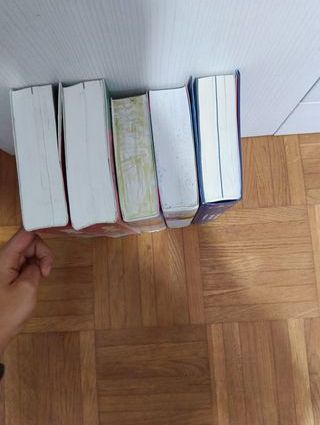 Lote 5 Diccionarios Escolares: Eus, Ing y Cast