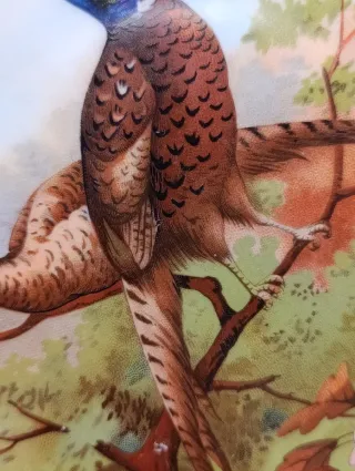 Plato Limoges porcelana aves y paisaje