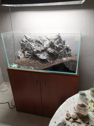 Roca Seiryu -100kg aprox.