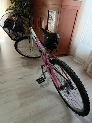 Bicicleta Mujer Adulta Rosa