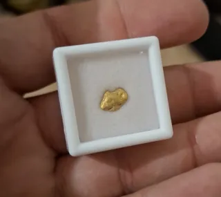 Pepita de oro