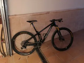 Berria mako año 2022