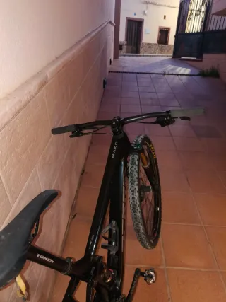 Berria mako año 2022