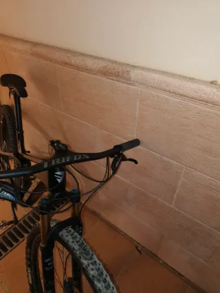 Berria mako año 2022