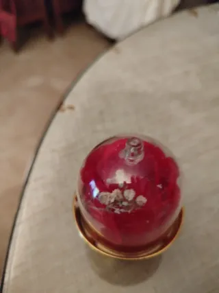 Flor Bella y Bestia Adorno