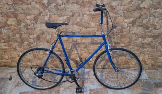 Bicicleta Vintage Azul