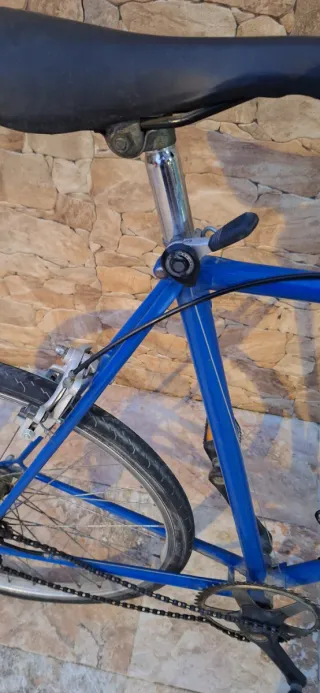 Bicicleta Vintage Azul