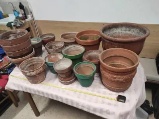 Lote de tiestos y macetas variadas