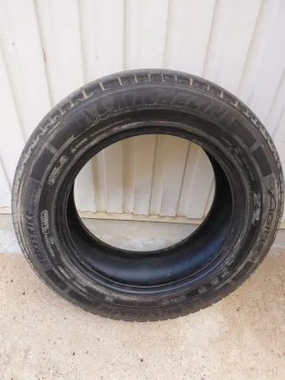 Michelin Agilis