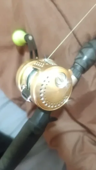 Shimano Calcutta Conques 301
