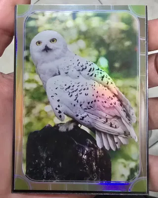 Carta Harry Potter Owl nº110 Panini Holográfica
