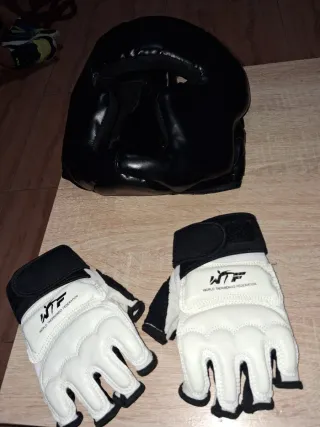 Protecciones Karate Nuevas (Peto, Espinilleras, Gu