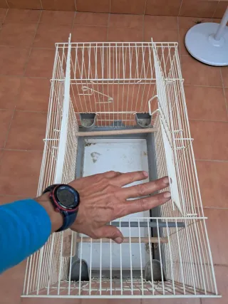 Jaula para loros y pájaros