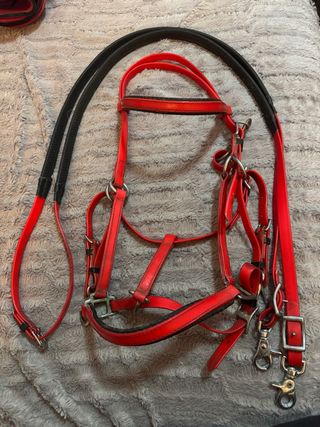 Cabezada Roja de Raid