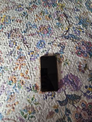 iPhone 12 Pro Max Oro