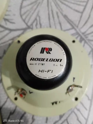 Altavoces Roselson Beige y Negro antiguo años 70