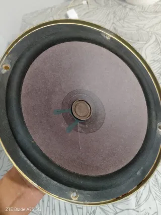 Altavoces Roselson Beige y Negro antiguo años 70