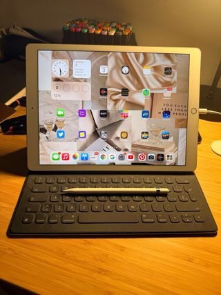 iPad Pro 12.9 2ª Gen 512GB Wi-Fi+Celular