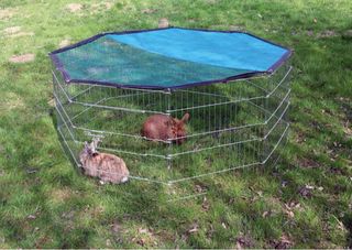 Parque para mascotas galvanizado 8 paneles