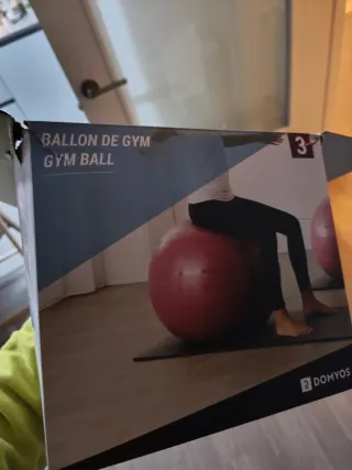 Pelota de Gimnasia Domyos