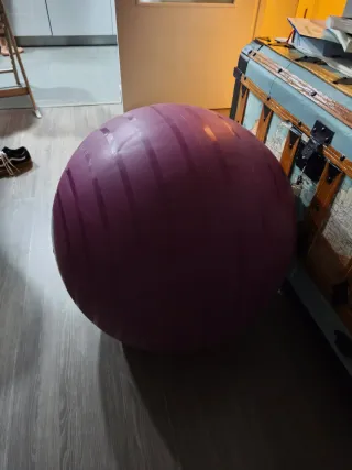 Pelota de Gimnasia Domyos