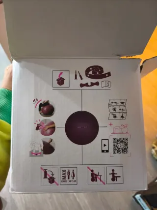 Pelota de Gimnasia Domyos