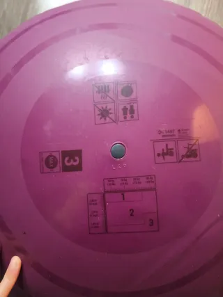 Pelota de Gimnasia Domyos