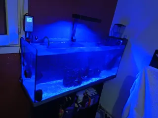 Pecera Marina con todo