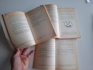 Libro En busca de tus pesadillas. R. L. Stine