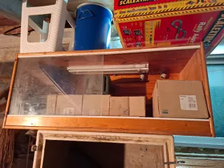 Terrario de madera y cristal