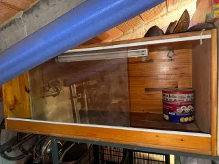 Terrario de madera y cristal