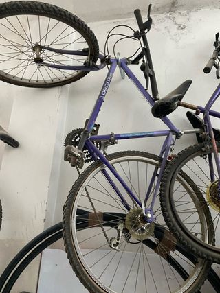 Bicicleta Peugeot Morada Adulto