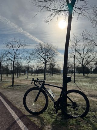 Bicicleta de Carretera Specialized Negra