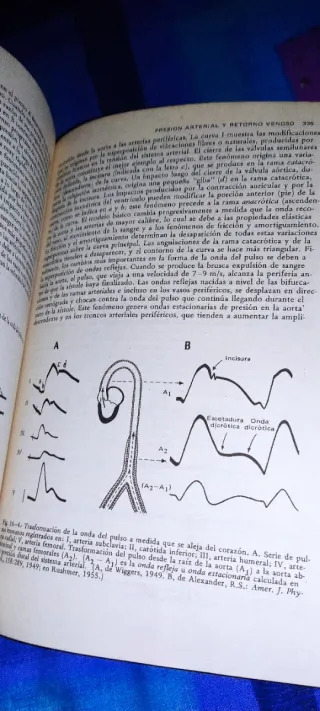 Fisiología