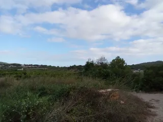 Se alquila parcelas rústicas de 200m2