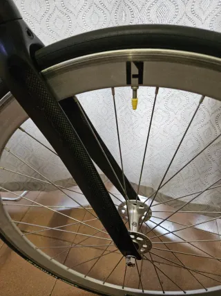 ♦️ DOLAN V1 ♦️