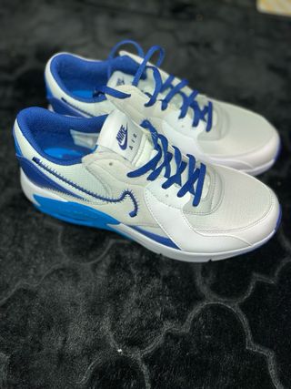 Nike Air Max Azul y Blanco
