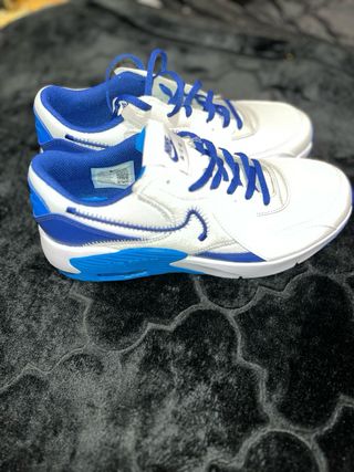 Nike Air Max Azul y Blanco