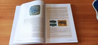 Libro UNED Historia Antigua Península Ibérica I