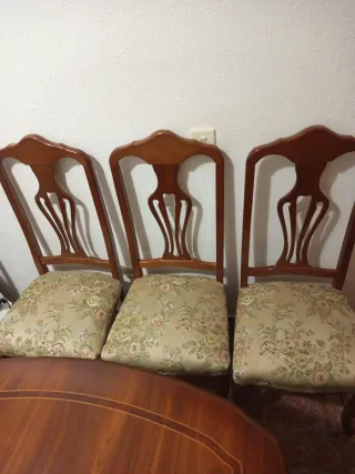 Mesa de comedor con 11 sillas