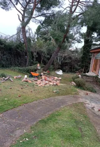 Servicios Jardinería: Poda, Césped, Riego