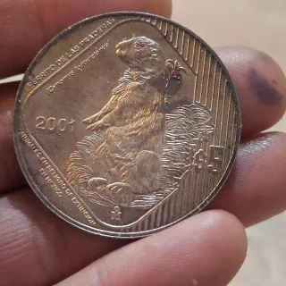 Lote de 4 monedas de plata