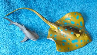 Raya de motas azules grande